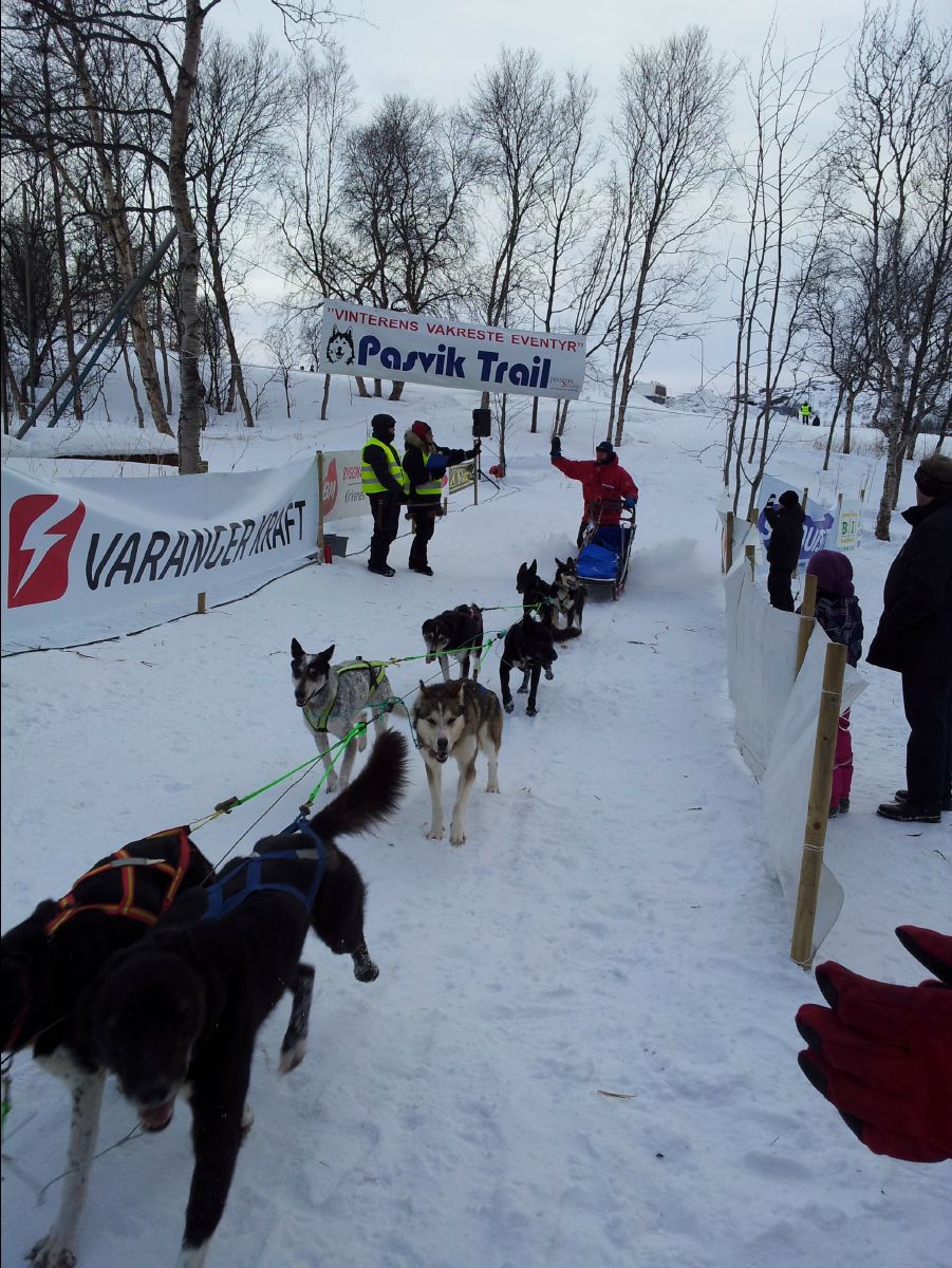 Dog Race02